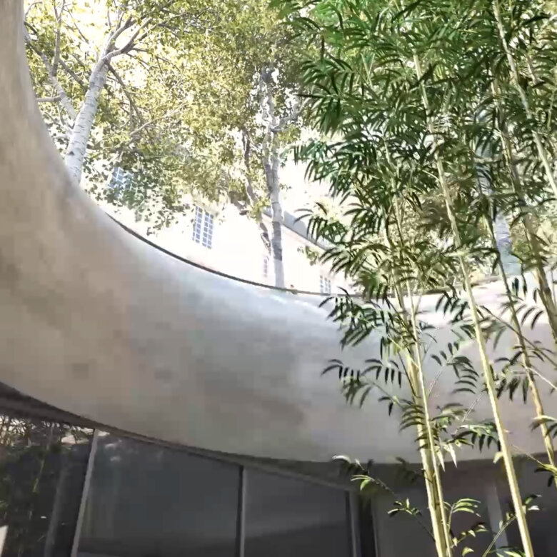 Modern building with an opening in the ceiling, allowing bamboo plants grow towards the sky.